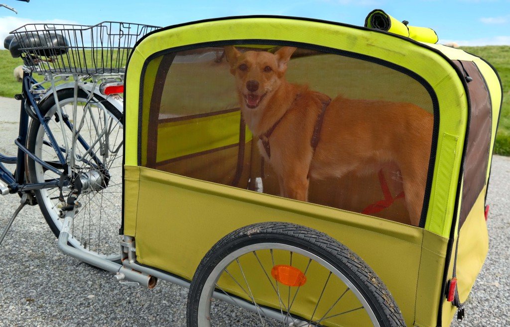 Fahrrad Mieten Auf Sylt